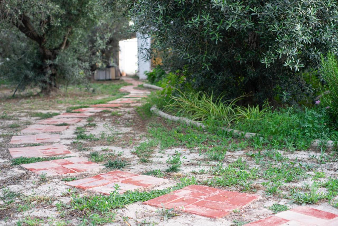 Casa De Campo Mediterranea En Alicante Agost Экстерьер фото