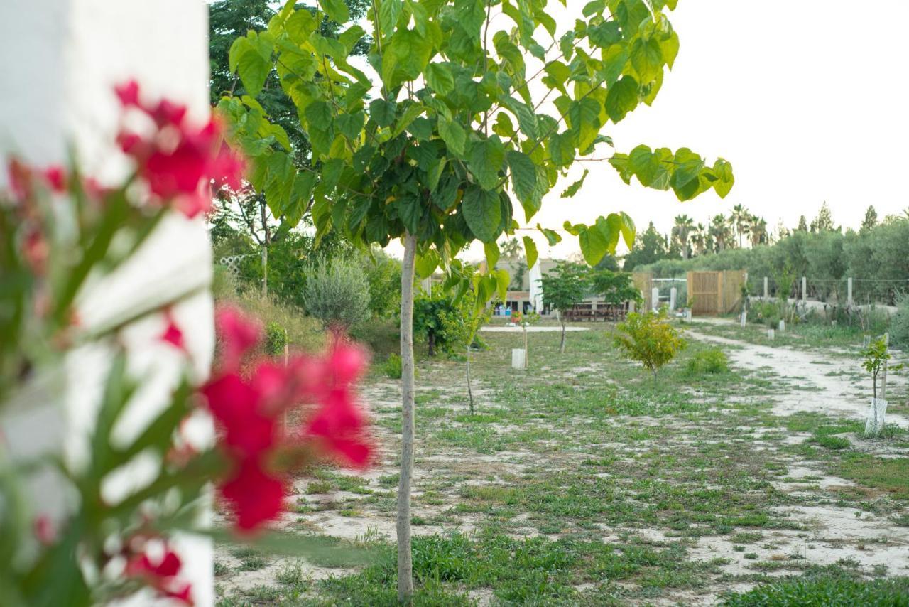 Casa De Campo Mediterranea En Alicante Agost Экстерьер фото